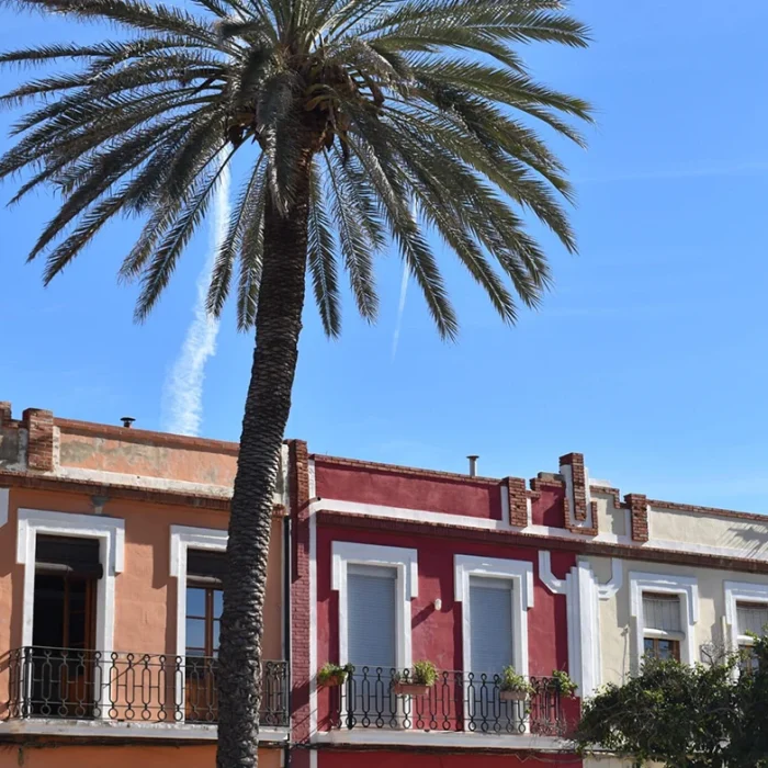 15 reasons to visit Valencia at 2023⬇️