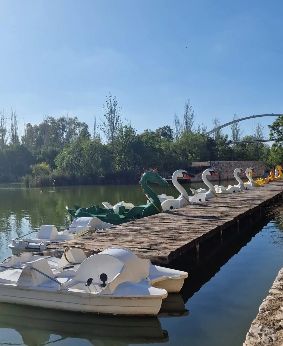 img-parque-cabecera-03