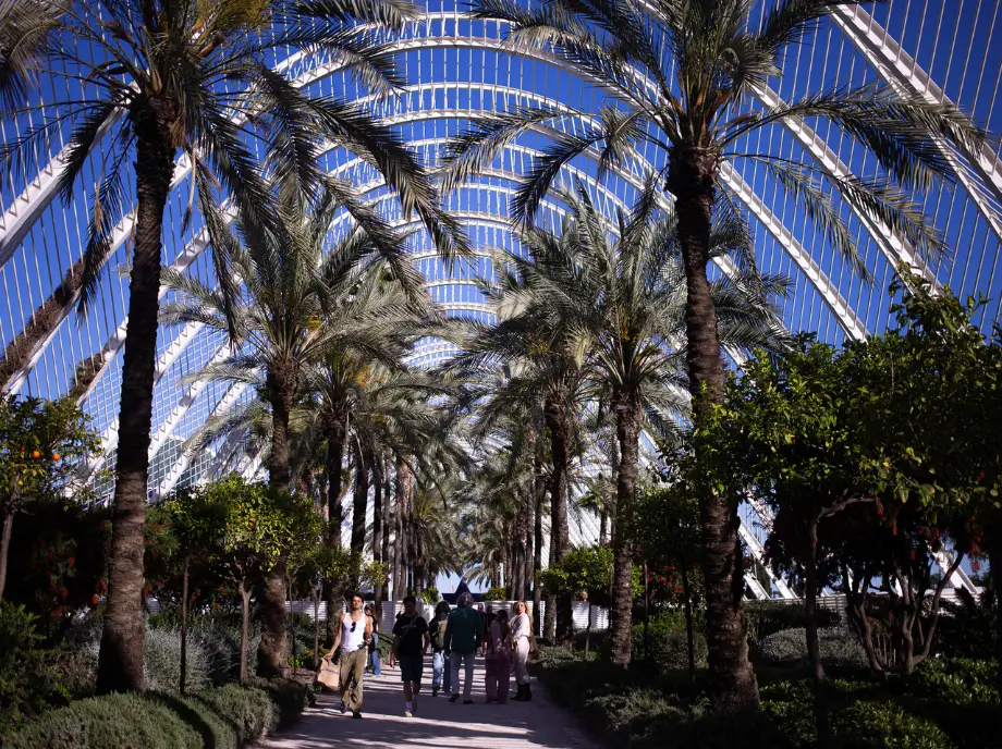 Umbracle Garden in the City of Arts and Sciences Valencia