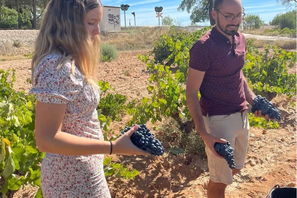 img-blog-razones-visitar-utiel-requena-otono