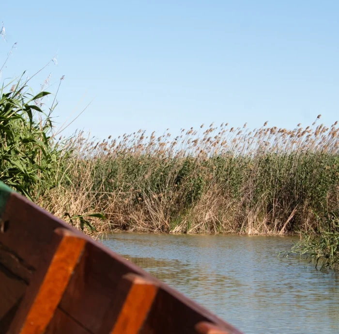Excursión al Parque Natural de la Albufera