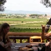 Excursión Bodegas Utiel-Requena con cata en viña
