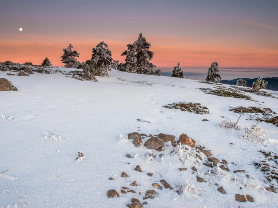 Escapada en la nieve